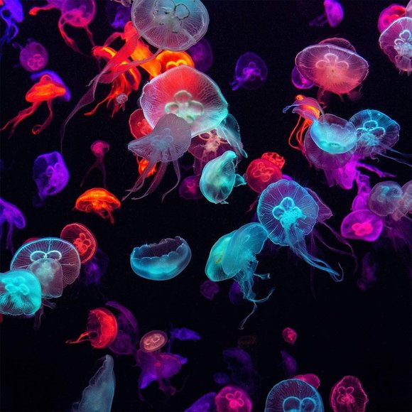 NEW Colorful Decor Duvet Cover Bedding  Comforter Cover Luxury Microfibe… - Picture 3 of 5